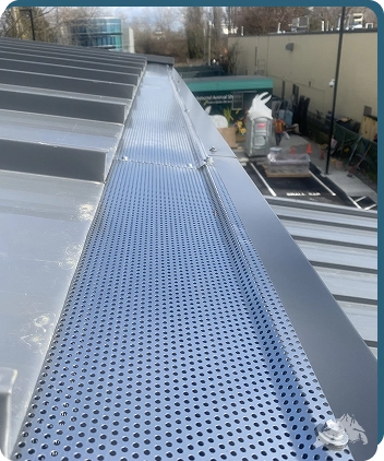 Products/Upgrades - Black Bear Gutters Leaf Screen-main