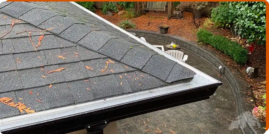 About Us - Black Bear Gutters Comprehensive Gutter Cleaning