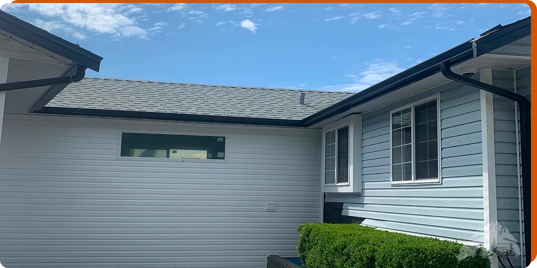 About Us - Black Bear Gutters Pests and Insects in Gutters