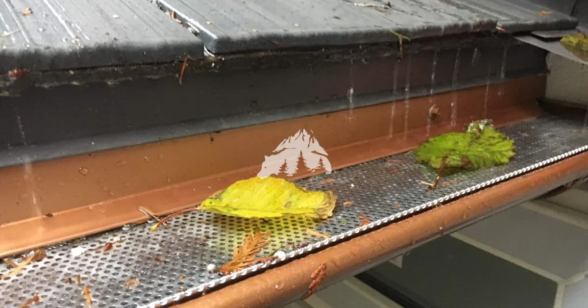 Stop the Mess Before It Starts: Install Leaf Screens - Black Bear Gutters Leaf Screens