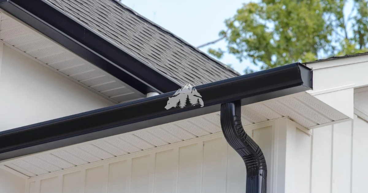 Leaking Gutters? It’s Time to Go Seamless - Black Bear Gutters Seamless Gutters in Vancouver Homes