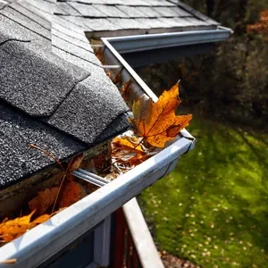 Gutter Cleaning Services in The Lower Mainland